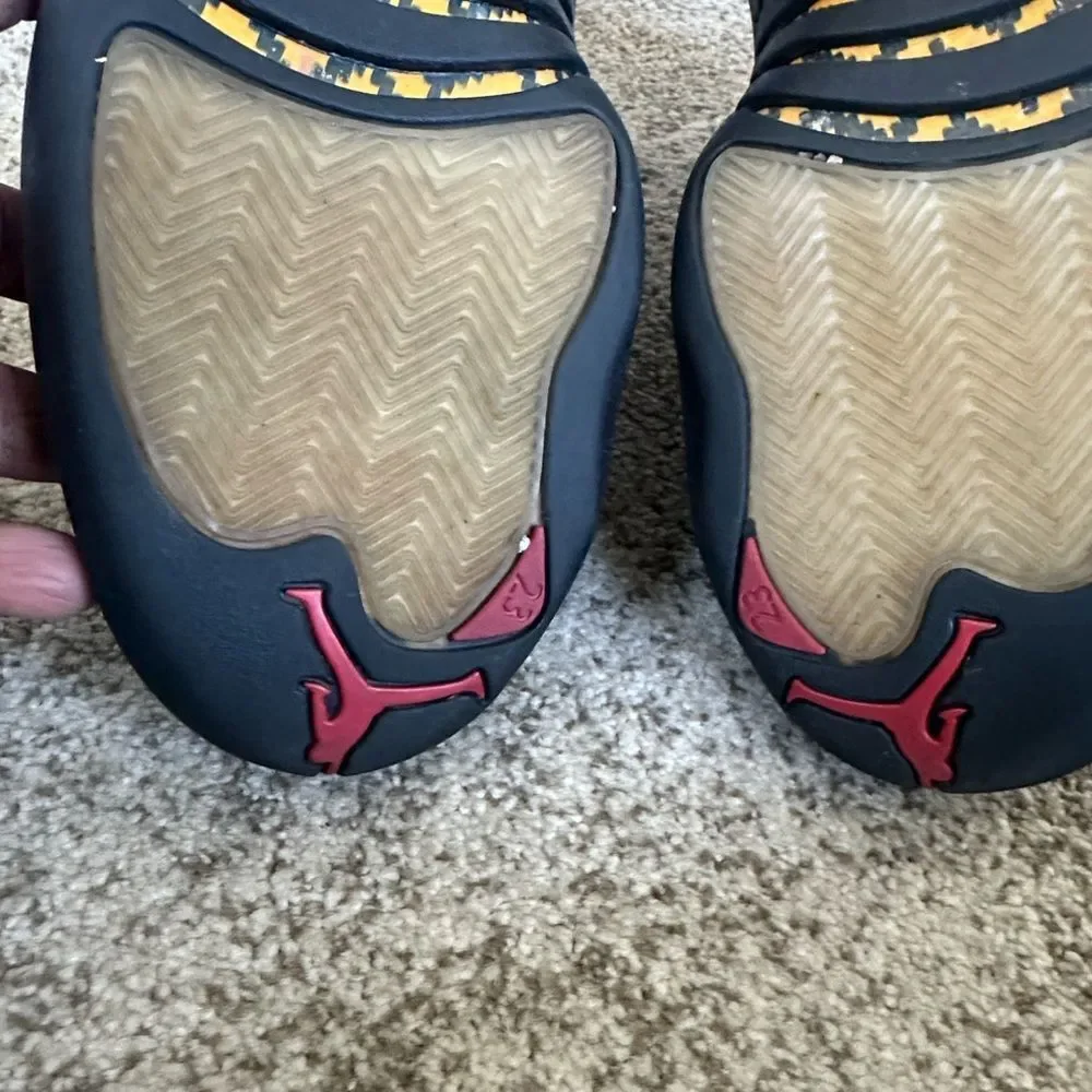 Jordan Air Jordan 12 Retro 